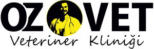 biVet